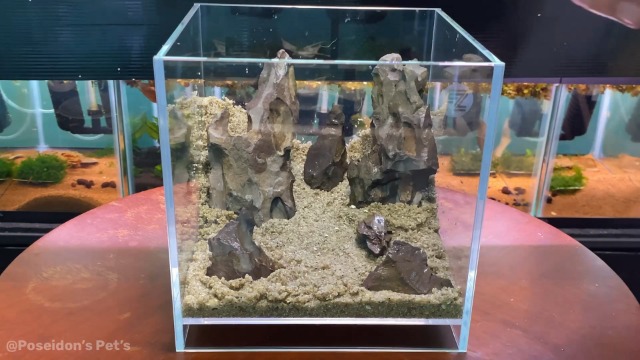 Amazon.com : Fzone 2 Gal Nano Rimless Aquarium Low Iron Fish
